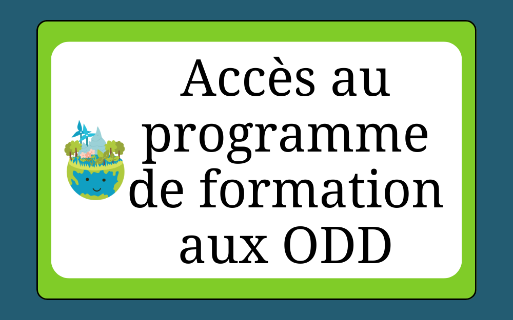 formation aux ODD